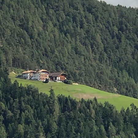 Appartement Forchnerhof Panorama- 3 Taeler Blick à Rodengo Extérieur photo